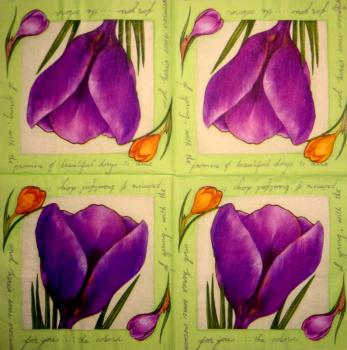 170 Daffodils - 3 ply -